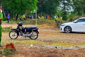 Tỉnh ủy Bình Thuận yêu cầu tiếp tục làm rõ 1 công ty du lịch triệt phá rừng dương