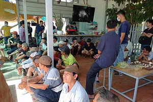 Hơn 50 cảnh sát vây trường gà quy mô lớn tại Mũi Né 