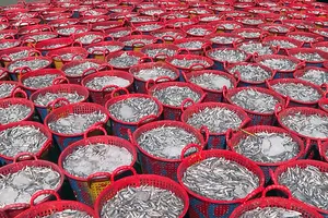 Cơ hội cho nước mắm, thanh long Bình Thuận đổ bộ vào các siêu thị lớn