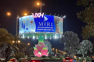 “Lùm xùm” ai là người thiết kế trái thanh long khổng lồ ở TP Phan Thiết