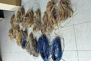 Trộm dây điện của cha vợ mang đi bán thì bị bắt