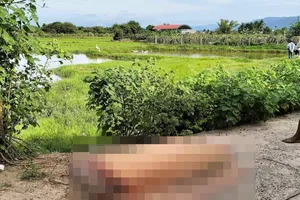 2 chị em mồ côi đuối nước thương tâm