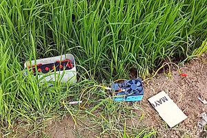 Người phụ nữ bắt ốc tử vong trên bờ ruộng nghi vướng bẫy điện 