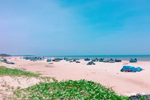 Bình Thuận báo cáo về 3 dự án hơn 1 triệu m2 đất bỏ hoang hơn 10 năm 