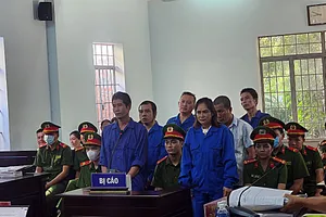 Thảo 'lụi' lãnh 1 năm 6 tháng tù về tội hủy hoại tài sản