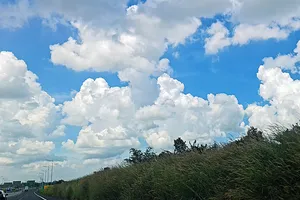 Cao tốc Phan Thiết - Dầu Giây: Cỏ dại lấn làn dừng khẩn cấp, che biển báo 