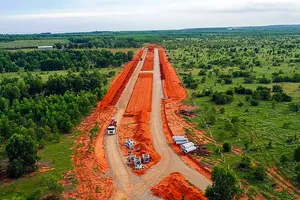 Chuyển đổi hơn 1,4 ha rừng trồng để làm đường kết nối sân bay Phan Thiết