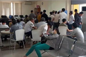 Nghe lời đồn, người dân ùn ùn đi đổi giấy phép lái xe 