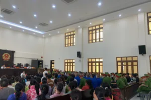 Bình Thuận: Năm 2023 mỗi ngày tòa án giải quyết hơn 14 vụ ly hôn