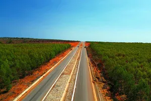 Nghiên cứu đầu tư xây dựng cao tốc Vĩnh Hảo - Liên Khương