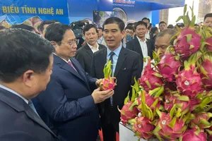 Thanh long Bình Thuận mỗi năm xuất khẩu biên mậu hơn 370 triệu USD