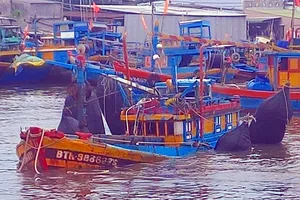 Truy tìm phương tiện va tàu cá Bình Thuận rồi rời đi