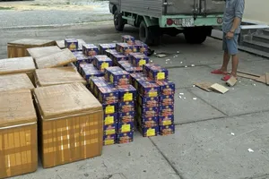 Phát hiện vụ chở gần nửa tấn pháo hoa nổ trái phép ở Bình Thuận