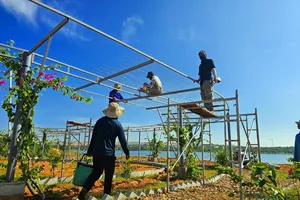 Tháo dỡ công trình xây dựng vi phạm hành lang bảo vệ thắng cảnh Bàu Trắng