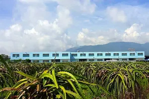 Cơ quan Cảnh sát điều tra tiếp nhận kiến nghị khởi tố sai phạm đất đai tại Bình Thuận 