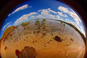  Thủ tướng phê duyệt đảo Phú Quý là trung tâm dịch vụ nghề cá và cứu nạn trên biển