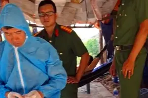 Bình Thuận: Huyện Hàm Tân báo cáo việc kiểm tra trang trại nghi có dịch tả lợn châu Phi