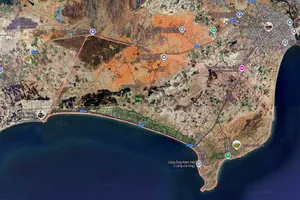 Khởi tố vụ án hô biến rừng phòng hộ thành đất cá nhân tại Bình Thuận