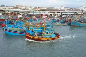 Lấy ý kiến Bộ TN&MT về 100.000 m3 cát nhiễm mặn khai thác không phép