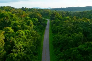 Không đồng ý chuyển 1.429 ha đất lâm nghiệp ra khỏi quy hoạch 3 loại rừng