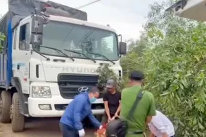 Nâng dây điện vì sợ vướng, tài xế tử vong tại chỗ