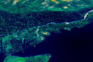 Lý do chuyển 19 ha rừng để nâng cấp Quốc lộ 28B 