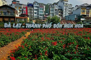 Đánh giá tác động khi sáp nhập 3 tỉnh Lâm Đồng, Đắk Nông, Bình Thuận