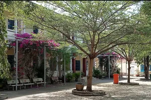 Bình Thuận yêu cầu trả đủ lương cho giáo viên 32 trường bỗng dưng bị hạ bậc lương 