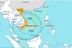 Cảng biển Lâm Đồng: Cơ hội đột phá cho tỉnh có diện tích lớn nhất nước