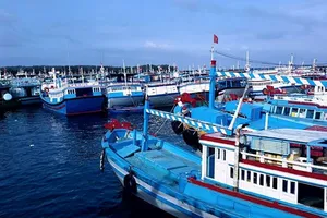 Đặc khu Phú Quý: Bến đỗ bình yên và khát vọng vươn mình