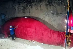 Xác cá voi ở biển Lâm Đồng có phải từng xuất hiện ở Gia Lai?