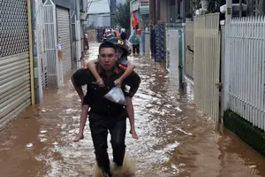 Báo cáo nhanh vụ sập taluy khiến 2 du khách uống cà phê tử vong ở Đà Lạt