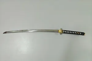 Dùng kiếm Nhật gây án bị truy tố tội sử dụng trái phép vũ khí quân dụng