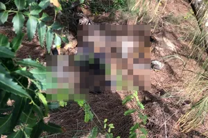 Lâm Đồng: Phát hiện 1 thi thể không nguyên vẹn bên bờ biển Phan Rí Cửa 