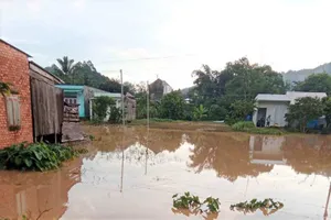 Lâm Đồng: Mưa lớn, 1 người chết do sét, nhiều tuyến đường sạt lở