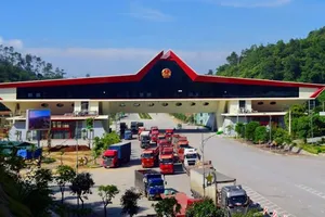 Sầu riêng ùn ùn lên cửa khẩu Lạng Sơn, mỗi ngày tồn thêm 80 xe