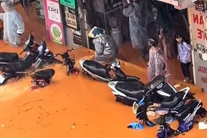 Mưa lớn dồn dập, Lâm Đồng ngập lụt, nhiều nơi sạt lở nguy hiểm 