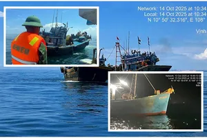 Hải đội 2 và Biên phòng tập kích, bắt 4 tàu 'giã cào bay' tận diệt thủy sản