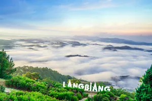 Lâm Đồng ra quy chế bảo vệ 'trái tim xanh' Langbiang