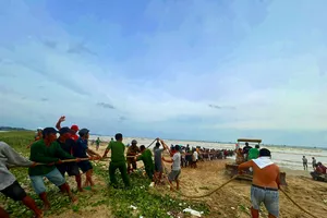 Hình ảnh đẹp từ bãi biển Lâm Đồng: Hàng trăm người cứu ghe thuyền giữa giông gió