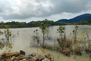 Công ty Trang trại Việt đã tháo cạn các hồ chứa nước trên núi Tân Lai