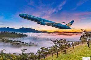 Cuộc hẹn ở cao nguyên Di Linh của các ông lớn Apple, Nvidia, Google