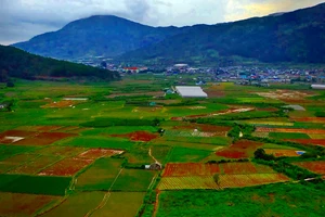 Lâm Đồng đăng ký làm việc với Trung ương gỡ nút thắt cho dự án 981 tỉ đồng