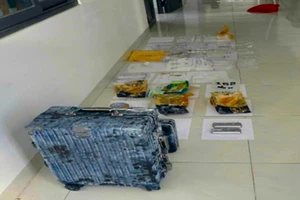 Phá đường dây ma túy từ chiếc vali bí ẩn sau nhà nguyên bí thư xã