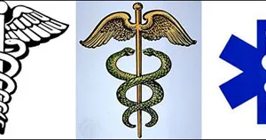 Rắn đi vào biểu tượng văn hóa