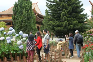 Rủ nhau du xuân tiết kiệm