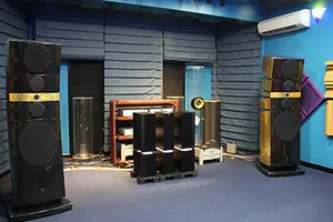 Loa Focal dát vàng 24k giá 8,6 tỷ đồng về VN