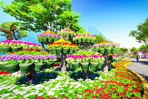 Phối cảnh đường hoa tết Ất Mùi 2015 đẹp mê hồn