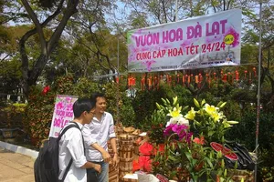 Giá cả các loại hoa tết Ất Mùi 2015