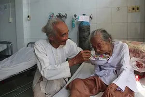 Bạc đầu vẫn báo hiếu